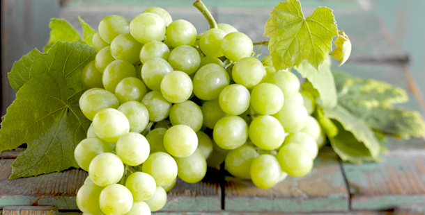 AUTUMNCRISP green grapes